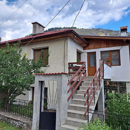 Guest House Denitsa Trigrad Εξωτερικό φωτογραφία