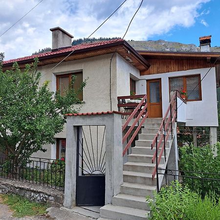 Guest House Denitsa Trigrad Εξωτερικό φωτογραφία
