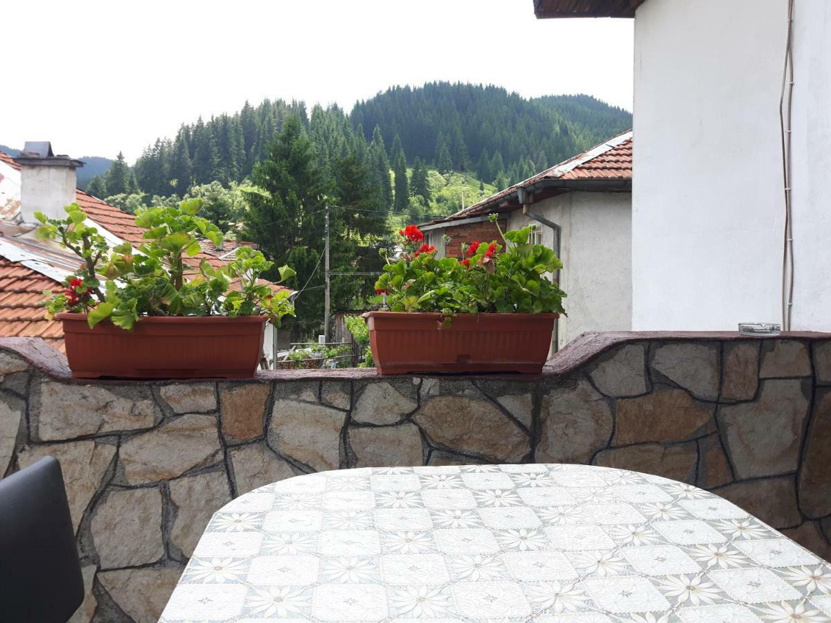 Guest House Denitsa Trigrad Εξωτερικό φωτογραφία